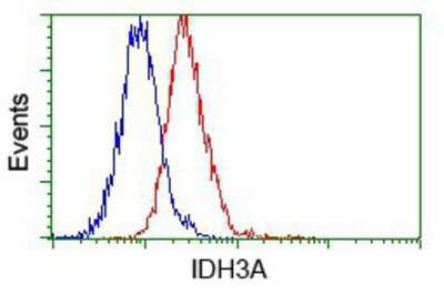 Flow Cytometry: IDH3A Antibody (OTI2F11) [NBP2-02158]