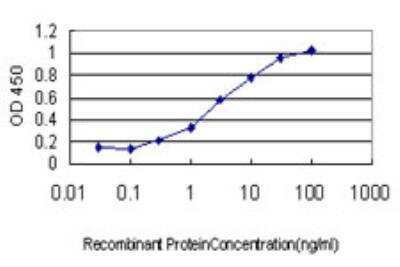 ELISA: IFI16 Antibody (2E3) [H00003428-M03]