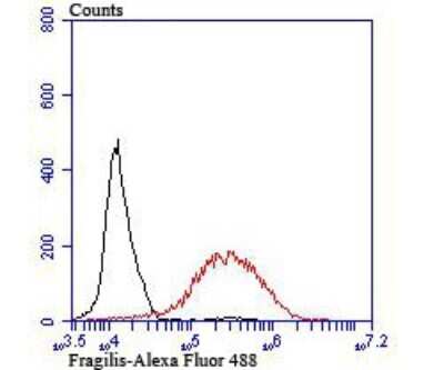 Flow Cytometry: IFITM3/Fragilis Antibody (JU73-02) [NBP2-75533]