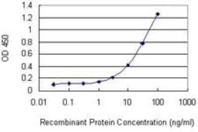 ELISA: IFN-alpha 1 Antibody (3C6) [H00003439-M07]