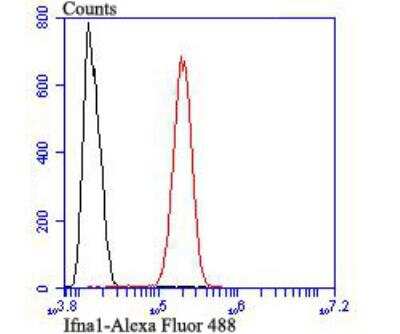 Flow Cytometry: IFN-alpha 1 Antibody [NBP2-75930]