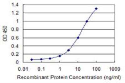 ELISA: IGSF6/DORA Antibody (1A10) [H00010261-M02]