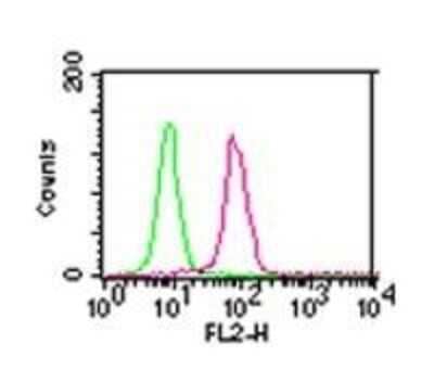 Flow Cytometry: IKK alpha Antibody (14A231) - Azide Free [NBP2-27409]