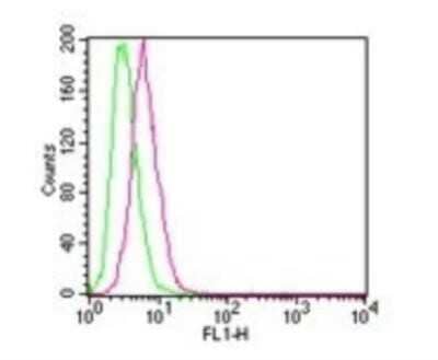 Flow (Intracellular): IKK beta Antibody (10A9B6) - BSA Free [NB100-56513]