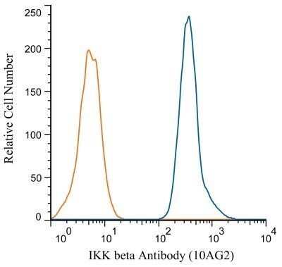 Flow Cytometry: IKK beta Antibody (10AG2) - Azide and BSA Free [NBP2-80788]