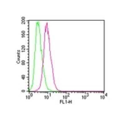Flow Cytometry: IKK beta Antibody (10AG2) - Azide and BSA Free [NBP2-80788]