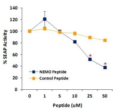 Functional (Inhibition): IKK gamma Inhibitor Peptide Set [NBP2-26504]