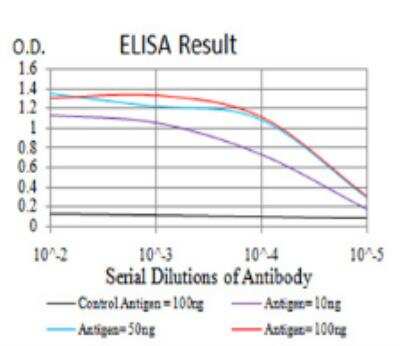 ELISA: IL1RAPL1 Antibody (2H3C12) - BSA Free [NBP2-52491]