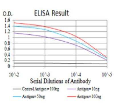 ELISA: IL1RAPL1 Antibody (3E3D12) - BSA Free [NBP2-52493]