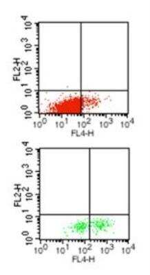 Flow Cytometry: IL-1 beta/IL-1F2 Antibody (43N3D8) - BSA Free [NBP2-27345]