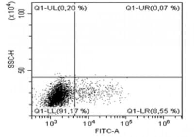 Flow Cytometry: IL-13 Antibody (B-B13) - Azide and BSA Free [NBP3-14573]