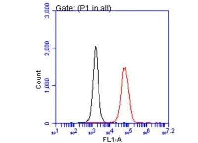 Flow Cytometry: IL-2 Antibody [NBP2-16948]