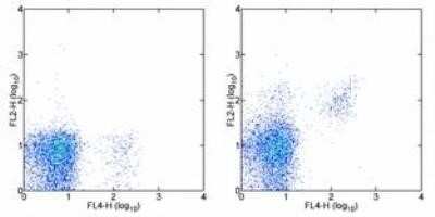 Flow Cytometry: IL-2 R beta Antibody (TM-b1) - Azide and BSA Free [NBP2-53132]