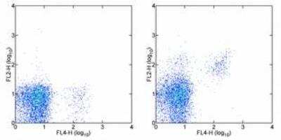 Flow Cytometry: IL-2 R beta Antibody (TM-b1) - BSA Free [NBP1-43355]