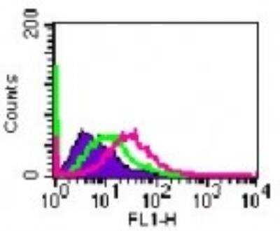 Flow Cytometry: IL-20R alpha Antibody [NB100-56409]