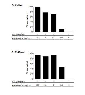 Neutralization: IL-21 Antibody (MT216G/21.3m) [NBP3-18290]