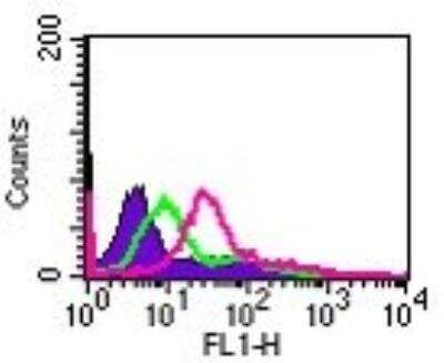 Flow Cytometry: IL-24 Antibody [NB100-56407]