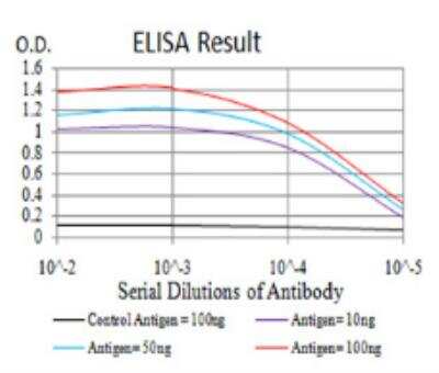 ELISA: IL-28A/IFN-lambda 2 Antibody (6H9E6) - BSA Free [NBP2-52495]