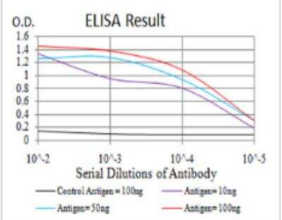 ELISA: IL-28A/IFN-lambda 2 Antibody (7B9A4) - BSA Free [NBP2-52494]