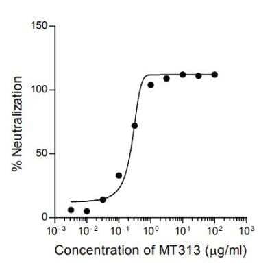 Neutralization: IL-31 Antibody (MT313) [NBP3-18293]