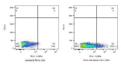 Flow Cytometry: IL-36Ra/IL-1F5 Antibody - BSA Free [NBP2-41241]