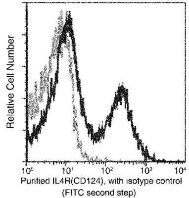 Flow Cytometry: IL-4R alpha Antibody (209) [NBP2-89472]