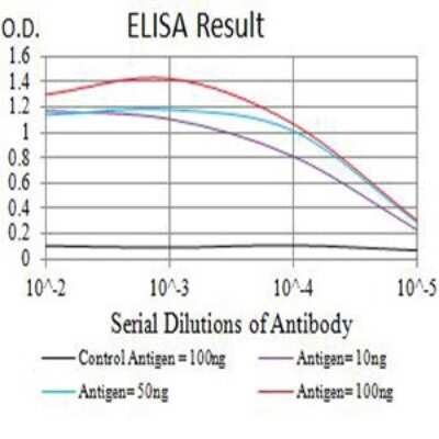 ELISA: IL-9R Antibody (4A11H2) - BSA Free [NBP2-61701]