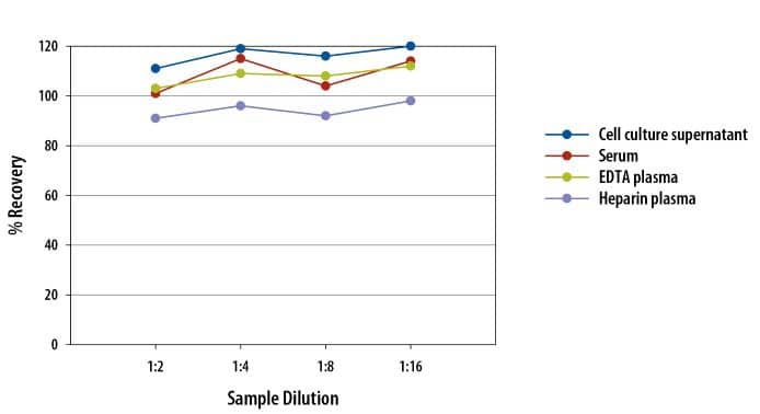 Human IL-10 Ella Assay Linearity