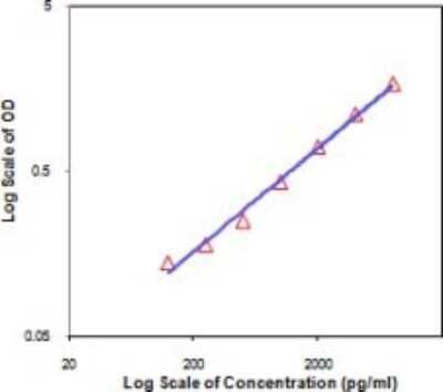 ELISA: IL-19 Antibody (RN19) - BSA Free [NBP2-00394]