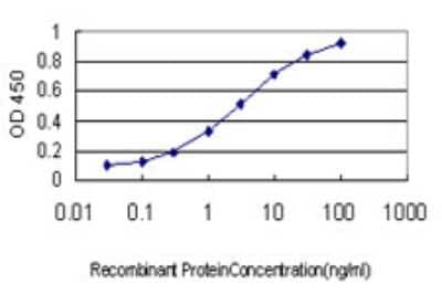 ELISA: IL-36 gamma/IL-1F9 Antibody (8A11) [H00056300-M01]