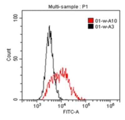 Flow Cytometry: IL1RAPL1 Antibody (B-R58) - Azide and BSA Free [NBP3-18111]