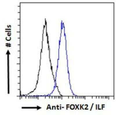 Flow Cytometry: ILF1 Antibody [NB100-1285]