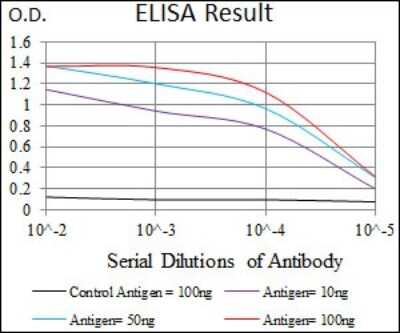 ELISA: ILK Antibody (3A9) - BSA Free [NBP2-37448]