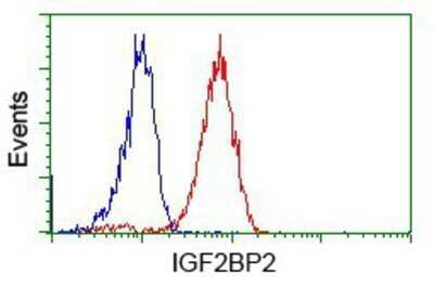 Flow Cytometry: IMP2/IGF2BP2 Antibody (OTI3F9) - Azide and BSA Free [NBP2-71615]