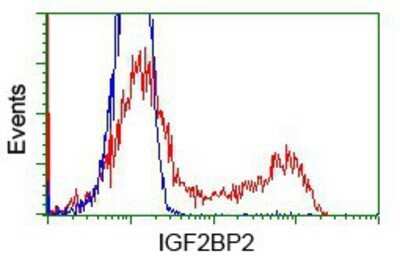 Flow Cytometry: IMP2/IGF2BP2 Antibody (OTI3F9) - Azide and BSA Free [NBP2-71615]