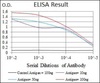 ELISA: INCENP Antibody (3D2) - BSA Free [NBP2-37471]