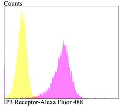 Flow Cytometry: IP3R1 Antibody [NBP3-09066]