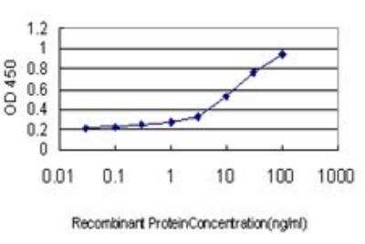 ELISA: IQGAP3 Antibody (6E3) [H00128239-M01]