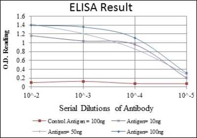 ELISA: IRAK4 Antibody (2H9) - BSA Free [NBP2-37575]