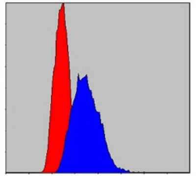 Flow Cytometry: IRAK4 Antibody (2H9) - BSA Free [NBP2-37575]