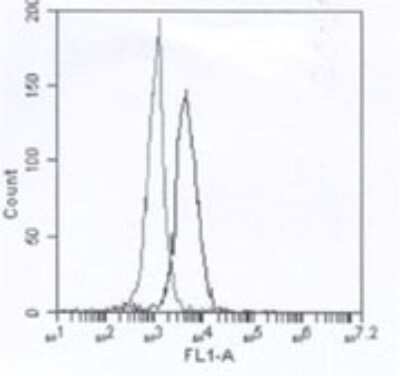 Flow Cytometry: IRAK4 Antibody (6F8) [Alexa Fluor® 647] [DDX0340A647]