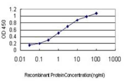 ELISA: IRE1 alpha Antibody (8D12) [H00002081-M02]