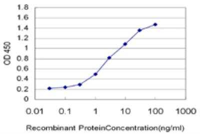 ELISA: IRF2 Antibody (7C2) [H00003660-M04]