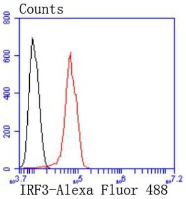 Flow Cytometry: IRF3 Antibody (SD2062) [NBP2-67741]