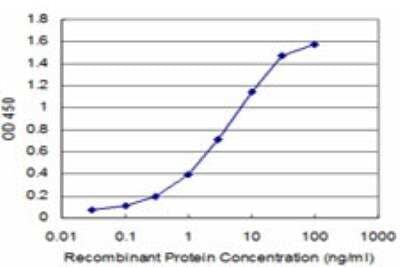 ELISA: IRF5 Antibody (1H6) [H00003663-M03]