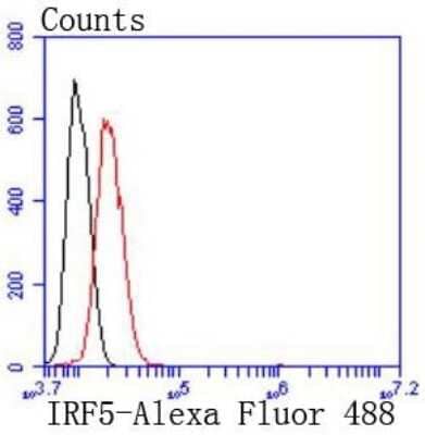 Flow Cytometry: IRF5 Antibody (SD203-07) [NBP2-67742]