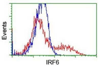 Flow Cytometry: IRF6 Antibody (OTI2C10) - Azide and BSA Free [NBP2-71044]