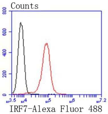 Flow Cytometry: IRF7 Antibody (SC0617) [NBP2-67634]
