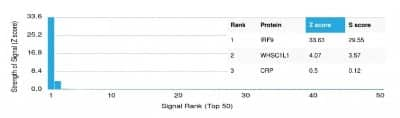 Protein Array: IRF9 Antibody (PCRP-IRF9-2F8) - Azide and BSA Free [NBP3-14228]