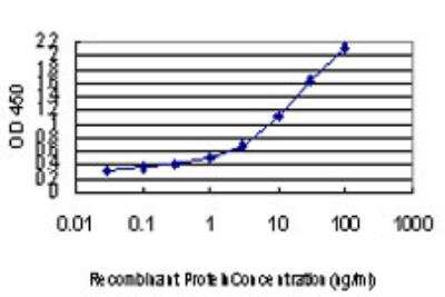 ELISA: IRX3 Antibody (2H3) [H00079191-M08]